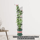 NNEAGS 2X 133cm 4-Bar Plant Frame Stand Trellis Vegetable Flower Herbs Outdoor Vine Support Garden Rack with Rings