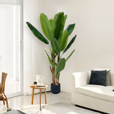 NNEAGS 2X 220cm Banna Plant Bird of Paradise Tree Artificial Plant Home Accent Decor