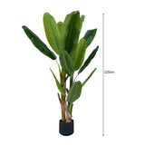 NNEAGS 2X 220cm Banna Plant Bird of Paradise Tree Artificial Plant Home Accent Decor