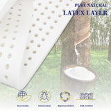 NNEDSZ Grandeur King Single Mattress Latex Foam 7 Zone Pocket Spring