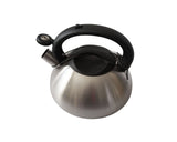 NNEDSZ 3L Matte Stainless Steel Whistling Kettle
