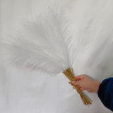 NNEDSZ 20 sticks Natural White Pampas Grass Bouquet - 21.65'' Fluffy Dried Pampas for Home Decor and Events