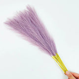 NNEDSZ 20 sticks Natural Lilac Pampas Grass Bouquet-21.65" Fluffy Dried Pampas for Home Decor and Events