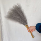 NNEDSZ 20 sticks Natural Dark Gray Pampas Grass Bouquet-21.65" Fluffy Dried Pampas for Home Decor and Events