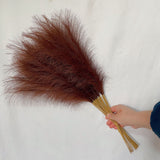 NNEDSZ 20 sticks Coffee Pampas Grass Bouquet-21.65" Fluffy Dried Pampas for Home Decor and Events