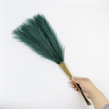 NNEDSZ 20 sticks Dark green Pampas Grass Bouquet-21.65" Fluffy Dried Pampas for Home Decor and Events