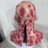 NNETM Freddy Krueger Mask Halloween Horror