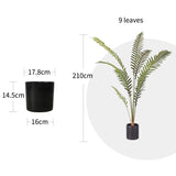 NNEAGS 2X 210cm Artificial Green Rogue Hares Foot Fern Tree Fake Tropical Indoor Plant Home Office Decor