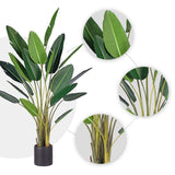 NNEAGS 2X 245cm Artificial Giant Green Birds of Paradise Tree Fake Tropical Indoor Plant Home Office Decor