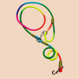 NNEAGS 2X 220cm Multifunction Hands-Free Rope Pet Cat Dog Puppy Double Ended Leash for Walking Training Tracking Obedience Rainbow