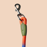 NNEAGS 2X 220cm Multifunction Hands-Free Rope Pet Cat Dog Puppy Double Ended Leash for Walking Training Tracking Obedience Rainbow