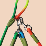 NNEAGS 2X 220cm Multifunction Hands-Free Rope Pet Cat Dog Puppy Double Ended Leash for Walking Training Tracking Obedience Rainbow