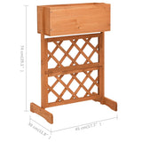 NNEVL Garden Trellis Planter Orange 45x30x74 cm Solid Firwood