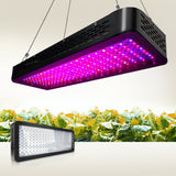 NNEDSZ 2000W LED Grow Light Full Spectrum