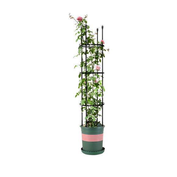 NNEAGS 133cm 4-Bar Plant Frame Stand Trellis Vegetable Flower Herbs Outdoor Vine Support Garden Rack with Rings