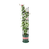 NNEAGS 133cm 4-Bar Plant Frame Stand Trellis Vegetable Flower Herbs Outdoor Vine Support Garden Rack with Rings