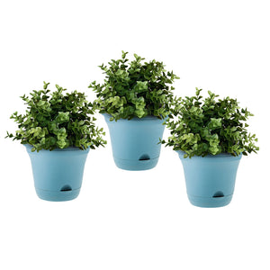 NNEAGS 19.5 cm Blue Plastic Plant Pot Self Watering Planter Flower Bonsai Indoor Outdoor Garden Decor Set of 3