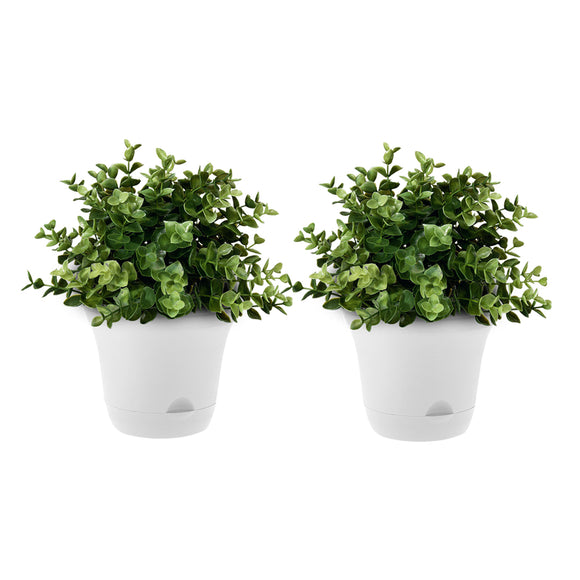NNEAGS 19.5 cm White Plastic Plant Pot Self Watering Planter Flower Bonsai Indoor Outdoor Garden Decor Set of 2
