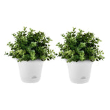 NNEAGS 19.5 cm White Plastic Plant Pot Self Watering Planter Flower Bonsai Indoor Outdoor Garden Decor Set of 2