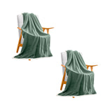 NNEAGS 2X Light Green Throw Blanket Warm Cozy Double Sided Thick Flannel Coverlet Fleece Bed Sofa Comforter