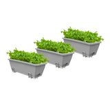 NNEAGS 49.5cm Gray Rectangular Planter Vegetable Herb Flower Outdoor Plastic Box with Holder Balcony Garden Decor Set of 3