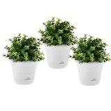 NNEAGS 19.5 cm White Plastic Plant Pot Self Watering Planter Flower Bonsai Indoor Outdoor Garden Decor Set of 3