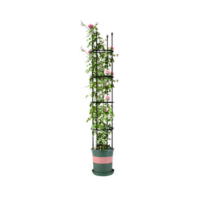 NNEAGS 163cm 4-Bar Plant Frame Stand Trellis Vegetable Flower Herbs Outdoor Vine Support Garden Rack with Rings