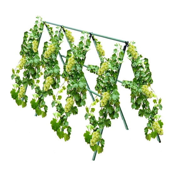 NNEAGS 90cm Plant Frame Tube Trellis Vegetable Flower Herbs Outdoor Vine Support Adjustable Garden Rack