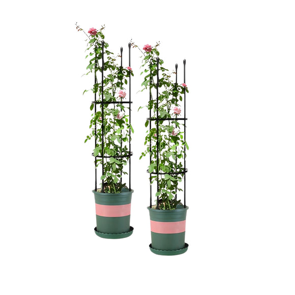 NNEAGS 2X 103cm 4-Bar Plant Frame Stand Trellis Vegetable Flower Herbs Outdoor Vine Support Garden Rack with Rings