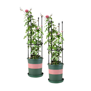 NNEAGS 2X 73cm 4-Bar Plant Frame Stand Trellis Vegetable Flower Herbs Outdoor Vine Support Garden Rack with Rings