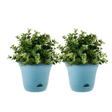 NNEAGS 19.5 cm Blue Plastic Plant Pot Self Watering Planter Flower Bonsai Outdoor Garden Decor Set of 2