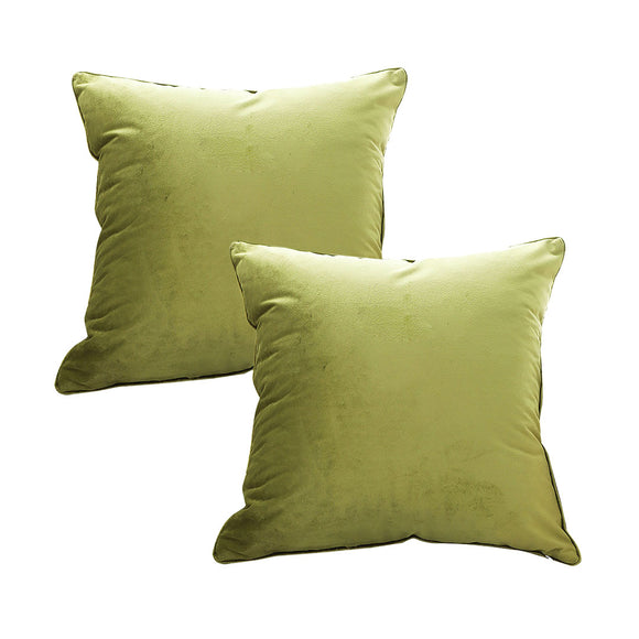 NNEAGS 2X 45cm Subtle Fluorescent Green Foliage Velvet Square Throw Pillow