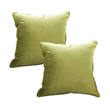 NNEAGS 2X 45cm Subtle Fluorescent Green Foliage Velvet Square Throw Pillow