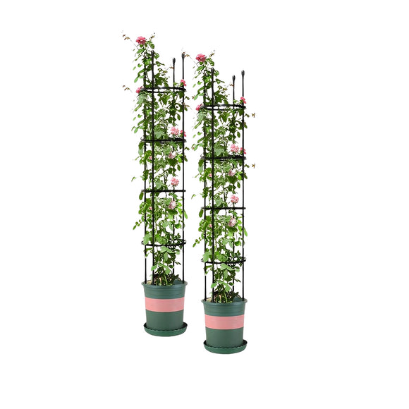 NNEAGS 2X 163cm 4-Bar Plant Frame Stand Trellis Vegetable Flower Herbs Outdoor Vine Support Garden Rack with Rings