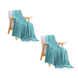 NNEAGS 2X Sky Blue Throw Blanket Warm Cozy Striped Pattern Thin Flannel Coverlet Fleece Bed Sofa Comforter