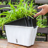 NNEAGS 35cm Small White Rectangular Flowerpot Vegetable Herb Flower Outdoor Plastic Box Garden Decor