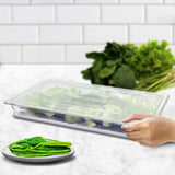 NNEAGS 65mm Clear Gastronorm GN Pan 1/2 Food Tray Storage Bundle of 6 with Lid
