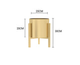 NNEAGS 2X 30CM Gold Metal Plant Stand with Flower Pot Holder Corner Shelving Rack Indoor Display