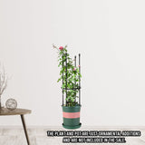 NNEAGS 2X 73cm 4-Bar Plant Frame Stand Trellis Vegetable Flower Herbs Outdoor Vine Support Garden Rack with Rings