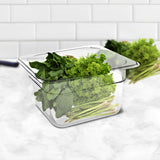 NNEAGS 150mm Clear Gastronorm GN Pan 1/6 Food Tray Storage Bundle of 2