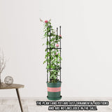 NNEAGS 103cm 4-Bar Plant Frame Stand Trellis Vegetable Flower Herbs Outdoor Vine Support Garden Rack with Rings