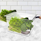 NNEAGS 200mm Clear Gastronorm GN Pan 1/2 Food Tray Storage Bundle of 6