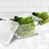 NNEAGS 100mm Clear Gastronorm GN Pan 1/6 Food Tray Storage Bundle of 6 with Lid