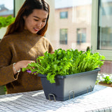 NNEAGS 49.5cm Black Rectangular Planter Vegetable Herb Flower Outdoor Plastic Box with Holder Balcony Garden Decor Set of 3