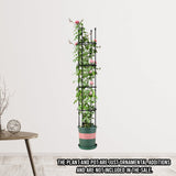 NNEAGS 2X 163cm 4-Bar Plant Frame Stand Trellis Vegetable Flower Herbs Outdoor Vine Support Garden Rack with Rings
