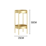 NNEAGS 2 Layer 50cm Gold Metal Plant Stand Flower Pot Holder Corner Shelving Rack Indoor Display