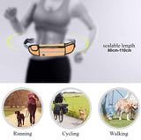 NNEAGS Orange Adjustable Hands-Free Pet Leash Bag Dog Lead Walking Running Jogging Pet Essentials