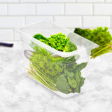 NNEAGS 200mm Clear Gastronorm GN Pan 1/3 Food Tray Storage Bundle of 2