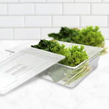NNEAGS 150mm Clear Gastronorm GN Pan 1/1 Food Tray Storage Bundle of 6 with Lid