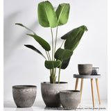NNEAGS 27cm Rock Grey Round Resin Plant Flower Pot in Cement Pattern Planter Cachepot for Indoor Home Office